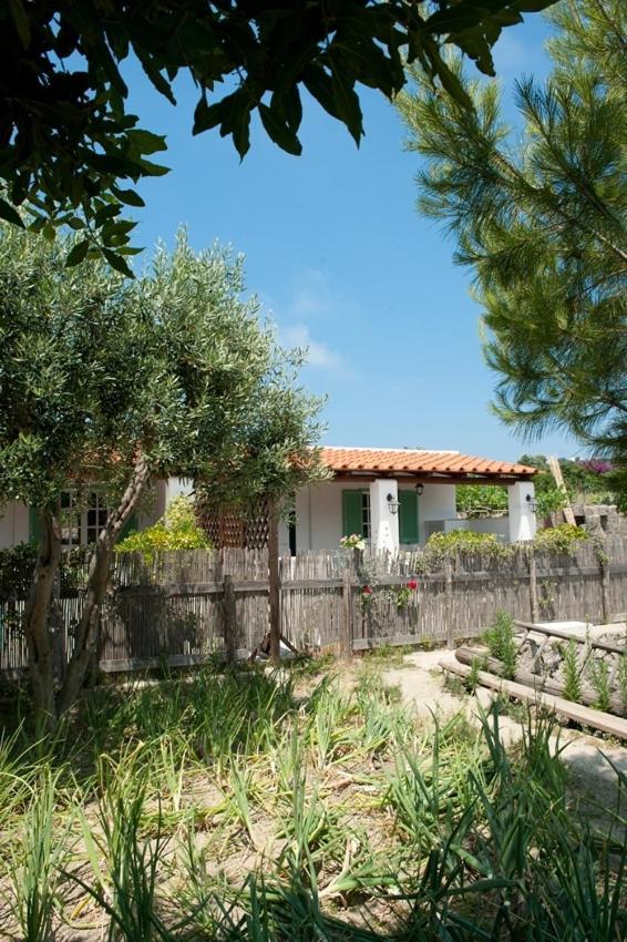 Residence Le Vigne Forio di Ischia Exteriér fotografie